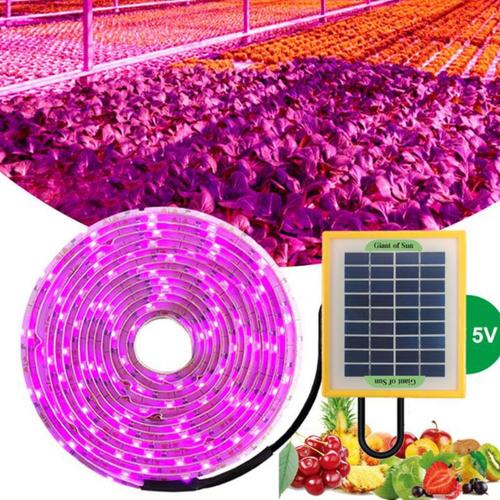 Lampe horticole de croissance LED avec panneau solaire, 20W, 5V, 2835, spectre complet, éclairage pour serre/chambre de culture hydroponique, plantes