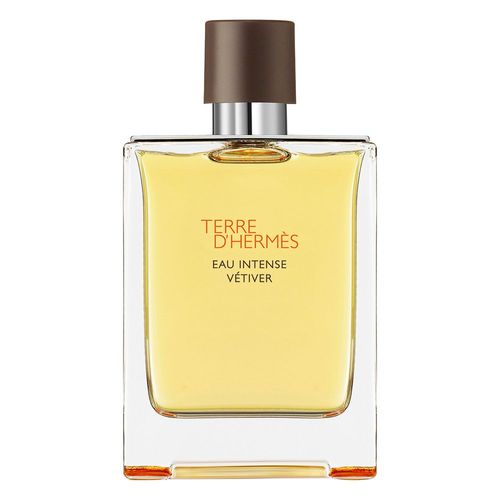 Terre D'hermès - Hermès - Eau Intense Vétiver 