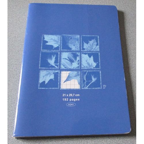 Cahier 192 Pages 90g - Grands Carreaux Seyes - 21x297cm - Couverture Bleue Décorée De Vignettes Feuillages