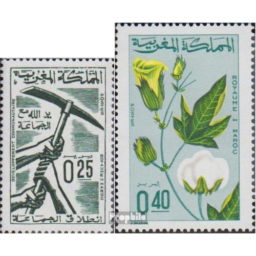 Maroc Mer.-No.: 588,594 (Complète Edition) Neuf Avec Gomme Originale 1967 Municipales Développement, Baumwolle