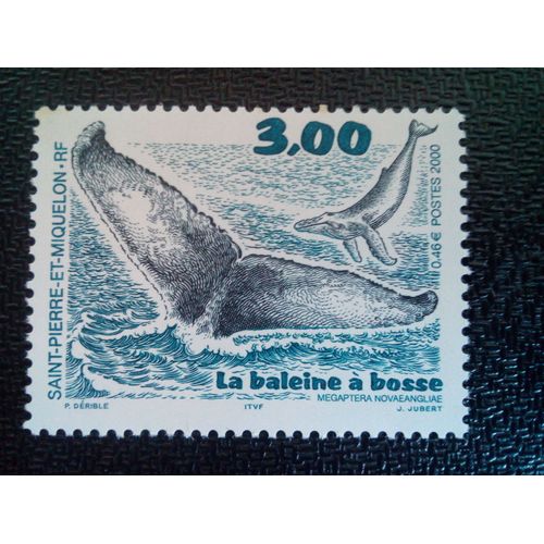 Timbre Saint Pierre Et Miquelon Yt 707 Baleine À Bosse (Megaptera Novaeangliae) 2000 ( 0101104 )