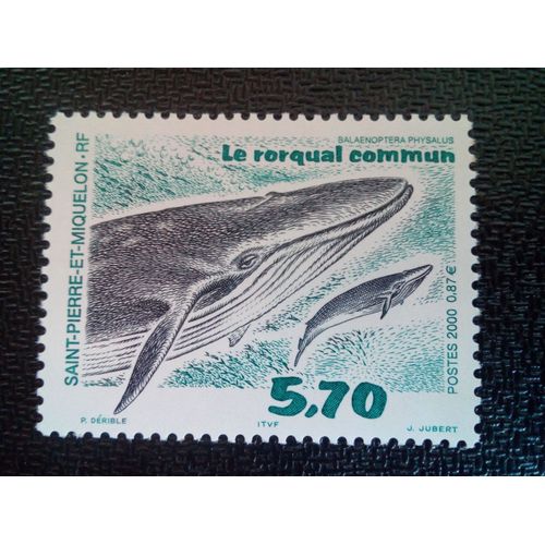 Timbre Saint Pierre Et Miquelon Yt 708 Rorqual Commun (Balaenoptera Physalus) 2000 ( 0101104 )