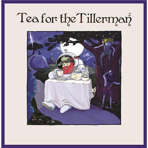 Tea For The Tillerman 2 - Vinyle 33t