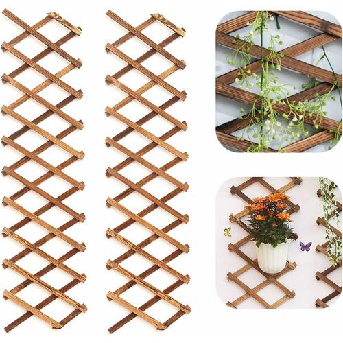 Lot de 2 Treillis Jardin en Bois pour Plantes Grimpantes - Cadre Suspendu Extra Epais et Extensible pour Plantes - Support Ideal pour Plantes, Fleurs, Legumes de Jardin ou Potager (200 X 30 cm goodnice