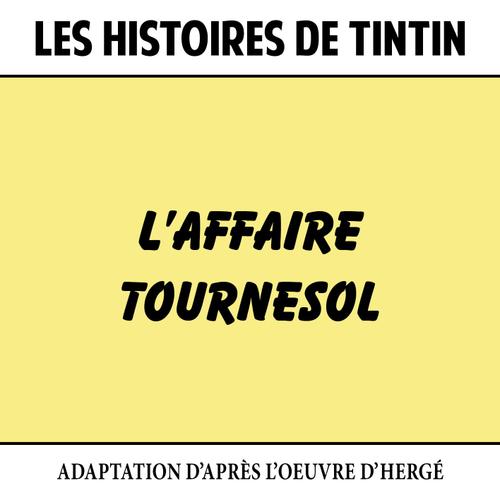 Les Histoires De Tintin : L'affaire Tournesol