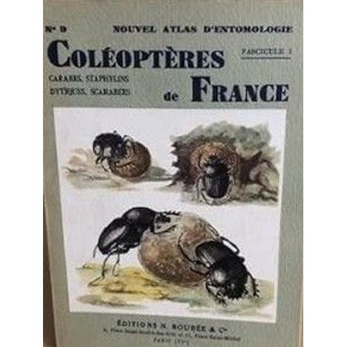 Coléoptères De France : Fascicule 1 / Luc Auber