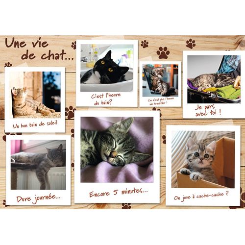 Nathan Puzzle N 1500 P - Une Vie De Chat
