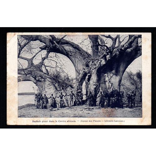 Baobab Géant Dans Le Centre Africain (Cpa : Extrait Des Plantes - Librairie Larousse 1933)