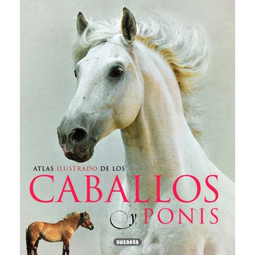 Caballos Y Ponis