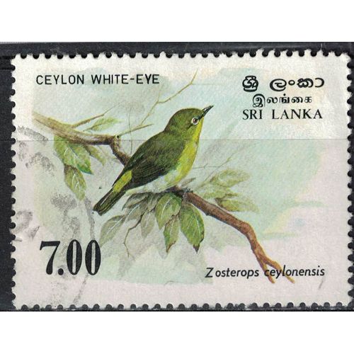 Sri Lanka 1986 Oblitéré Used Oiseau Bird Ceylon White Eye Zostérops De Ceylan Su