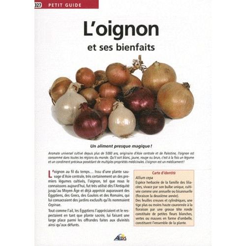 L'oignon Et Ses Bienfaits