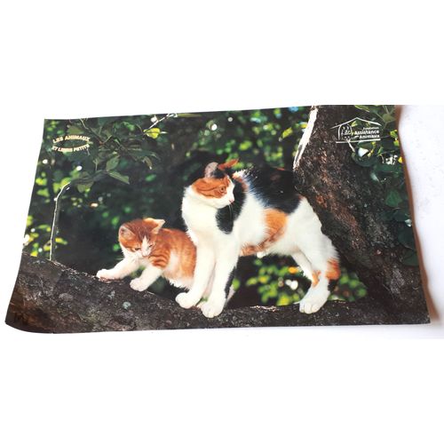 Belle image couleurs d'une chatte avec son chaton extraite d'un calendrier de la Fondation Assistance aux Animaux série Les animaux et leurs petits - petit trou dans le haut - 30x18.5cm
