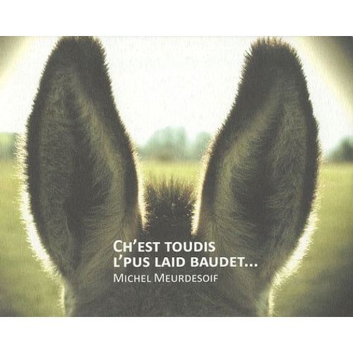 Ch'est Toudis L'plus Laid Baudet - Edition Bilingue Français-Picard