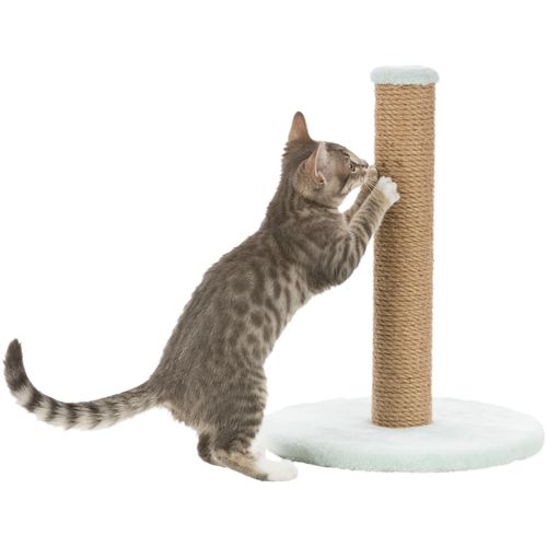 Junior Poteau Griffoir Sur Plateau 42cm Menthe