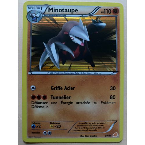 Carte Pokémon Rare Minotaupe 110pv Holo 30/30