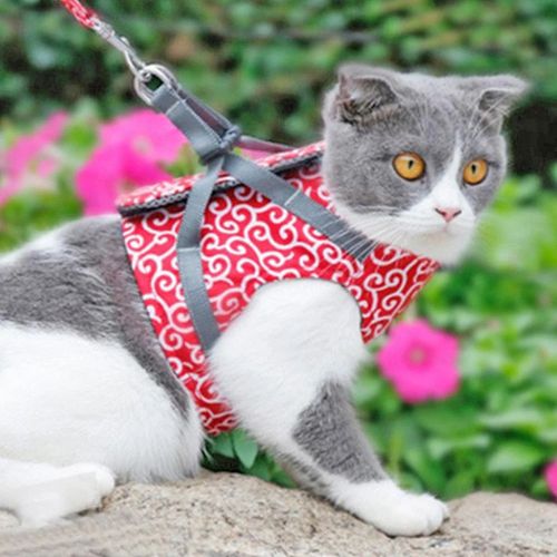 Cat Traction Corde Poitrine Chevauchement Chat Gilet Style Vetements Anti Avc Chat Rakuten