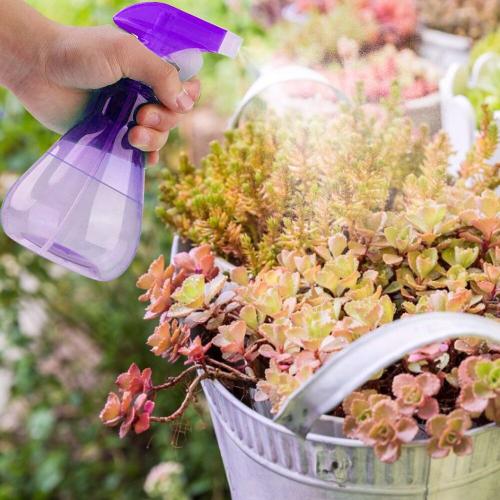 2 Pièces Plastique Coiffure Pulvérisateur Arrosage Fleurs Plantes Eau Vaporisateur Bouteilles Main Pression Jardinage Arrosoir