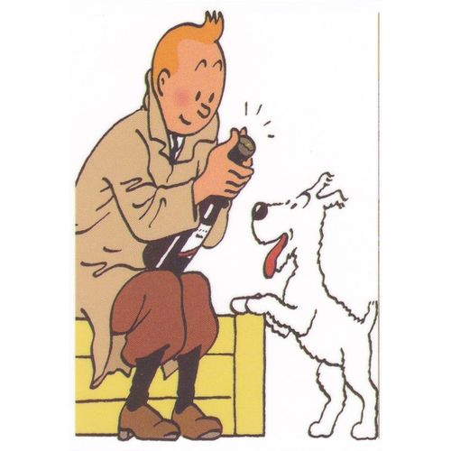 Autocollant - Tintin