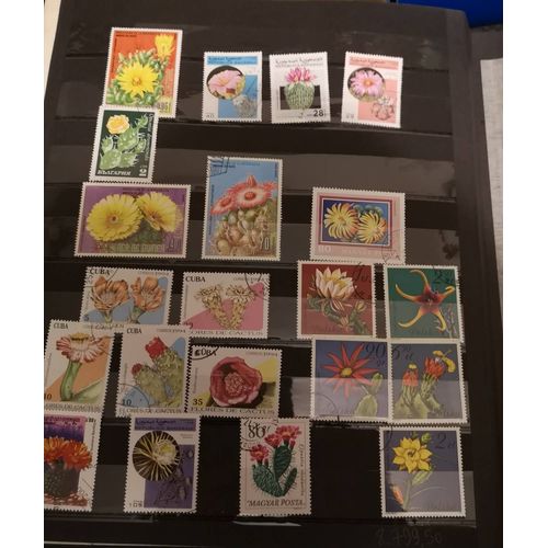 Lot 46 Timbres Thème Cactus