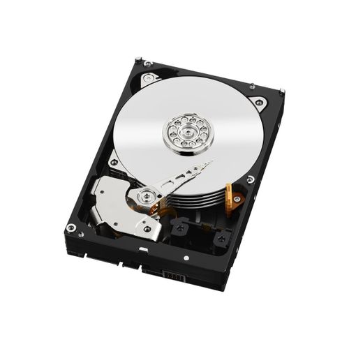 WD RE WD5003ABYZ - Disque dur - 500 Go - interne - 3.5" - SATA 6Gb/s - 7200 tours/min - mémoire tampon : 64 Mo