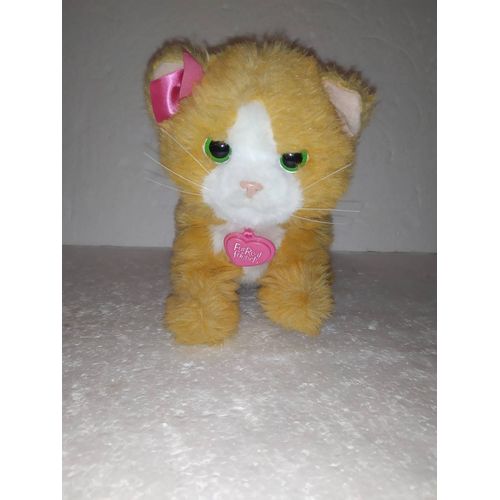 Furreal Friends Daisy Mon Chat Joueur Jeux Educatifs Interactifs Rakuten