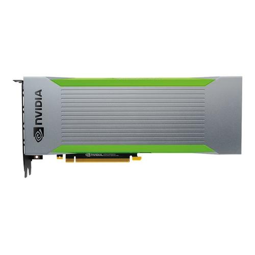 NVIDIA Quadro RTX 8000 Passive - Carte graphique - Quadro RTX 8000 - 48 Go GDDR6 - PCIe 3.0 x16 - san ventilateur