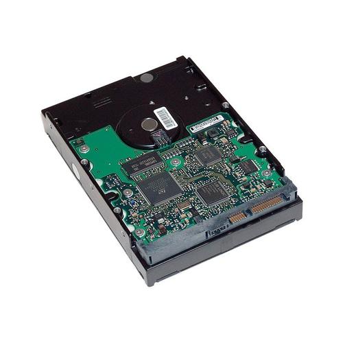 HP - Disque dur - 1 To - interne - 3.5" - SATA 3Gb/s - 7200 tours/min - mémoire tampon : 32 Mo - pour Workstation xw4600, xw6600, xw8600, xw9400, z200, z400, z600, z800
