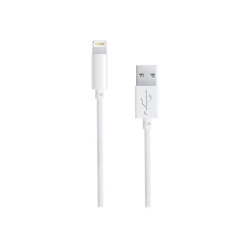 Global Technology - Câble Lightning - USB mâle pour Lightning mâle - blanc