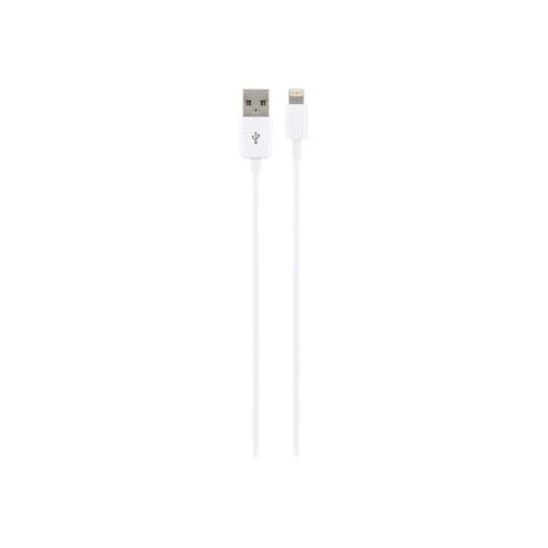 goobay - Câble Lightning - Lightning mâle pour USB mâle - 1 m - blanc