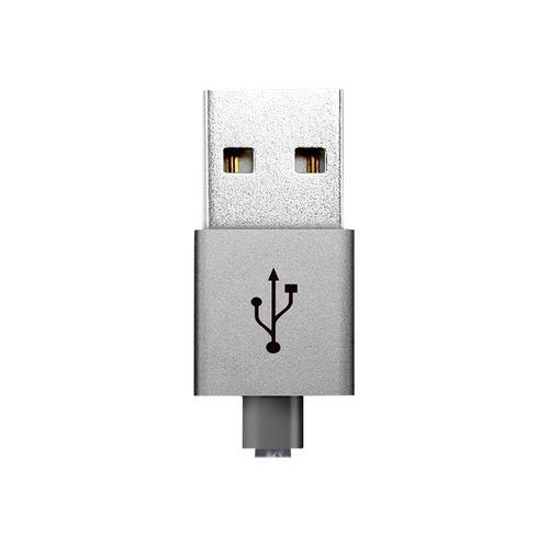 ADATA - Câble Lightning - USB mâle pour Lightning mâle - 1 m - titane