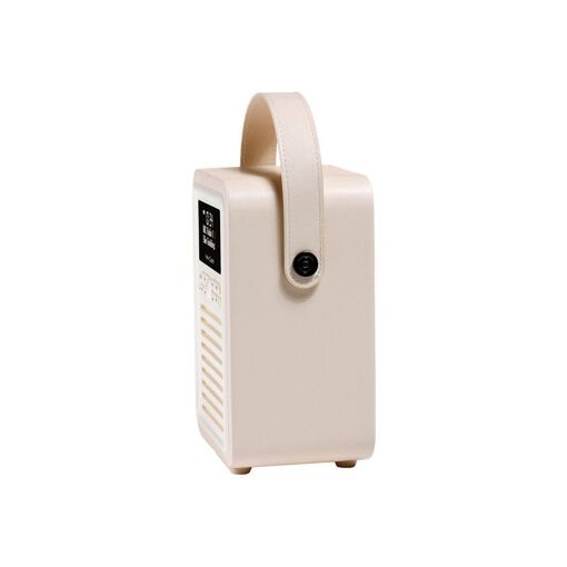 ViewQuest Retro Mini - Radio portative DAB - 5 watt - cr&egr