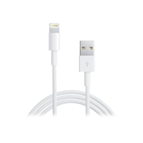 Platyne - Câble Lightning - Lightning mâle pour USB mâle - 2 m - blanc