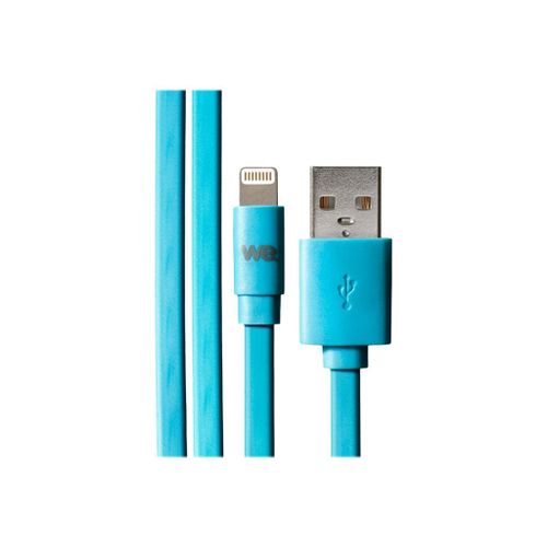 WE - Câble Lightning - Lightning mâle pour USB mâle - 1 m - bleu - plat