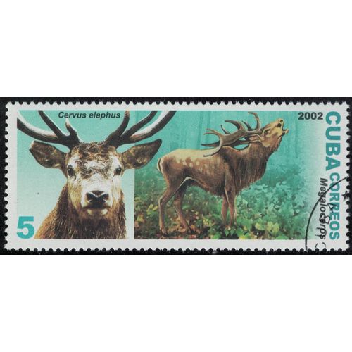 Cuba 2002 Oblitéré Used Animaux Cervidés Cervus Elaphus Cerf Élaphe Et Megaloceros Éteint Su