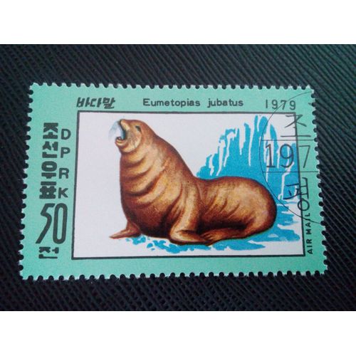 Timbre Coree Du Nord Yt Pa 12 A Phoque Du Nord (Eumetopias Jubatus) 1979 ( 051204 )