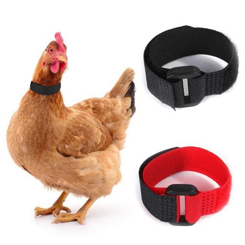 6 Pièces Colliers De Poulet Réglables Durables Anti-Crochet Sans Bruit Collier Pour Volaille Poule Canard Oie Coq Fournitures Pour Animaux De Ferme
