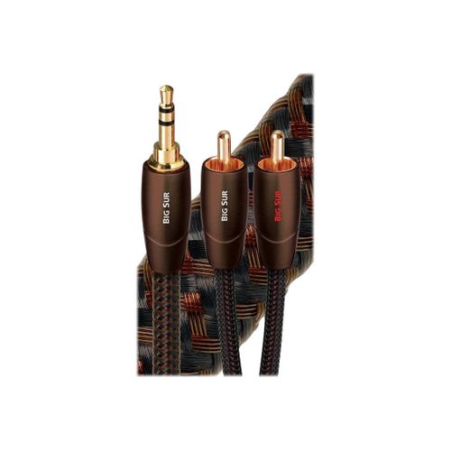 AudioQuest Bridges & Falls Series Big Sur - Câble audio - mini-phone stereo 3.5 mm mâle pour RCA mâle - 1.5 m - solide