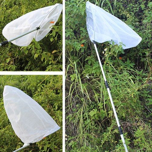 Alliage D'aluminium Télescopique Poignée Insecte Filet Enfant Attraper Papillon Libellule Filet P31b