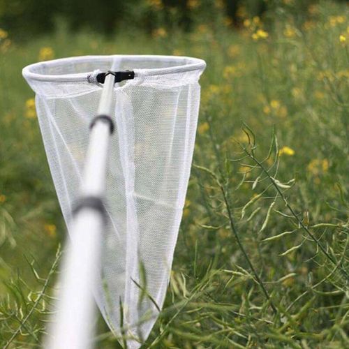 Alliage D'aluminium Télescopique Poignée Insecte Filet Enfant Attraper Papillon Libellule Maille P31b