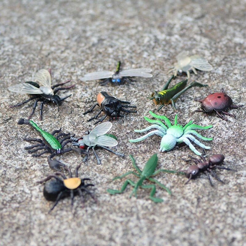 8 Pices/12 Pices Simulation Statique Insecte Modle Orneme... - 2
