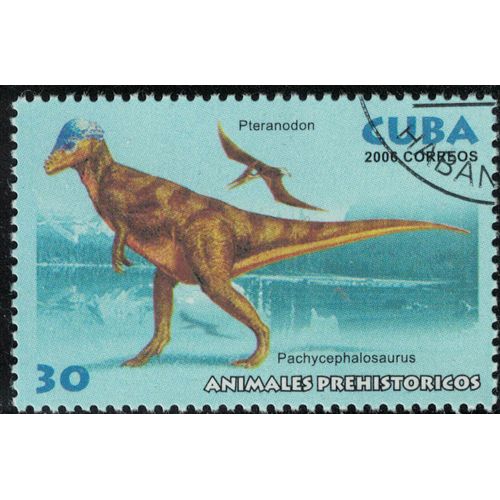 Cuba 2006 Oblitéré Used Animaux Dinosaures Éteints Pteranodon Et Pachycephalosaurus Su
