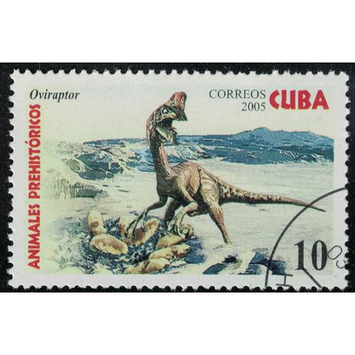 Cuba 2005 Oblitéré Used Animaux Dinosaure Éteint Oviraptor Su