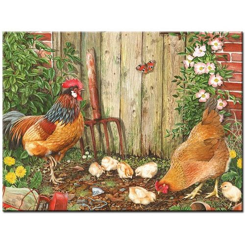 Peinture Au Diamant Diy (Peinture Uniquement, Sans Cadre) Peinture Diamant Coq Et Poulet, Broderie Complète 5d, Perles Rondes Et C 40*50cm