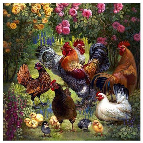 Peinture Au Diamant Diy (Peinture Uniquement, Sans Cadre) Peinture Diamant Diamant Thème Avec Poulet Et Coq, Broderie Complète 5d