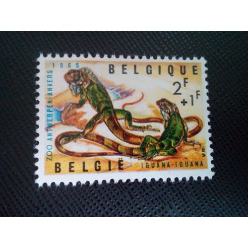 Timbre Belgique Yt 1345 Iguane Vert [Iguana Iguana] 1965 ( 061204 )