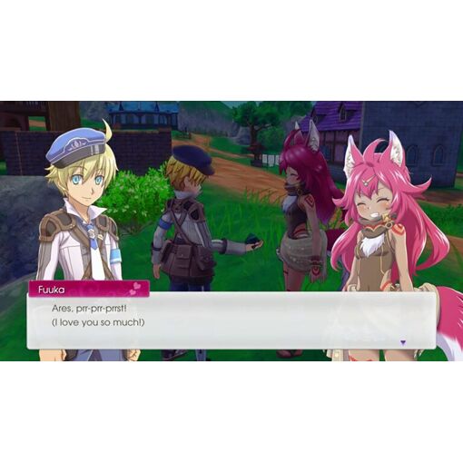 Rune Factory 5 - Switch - 7