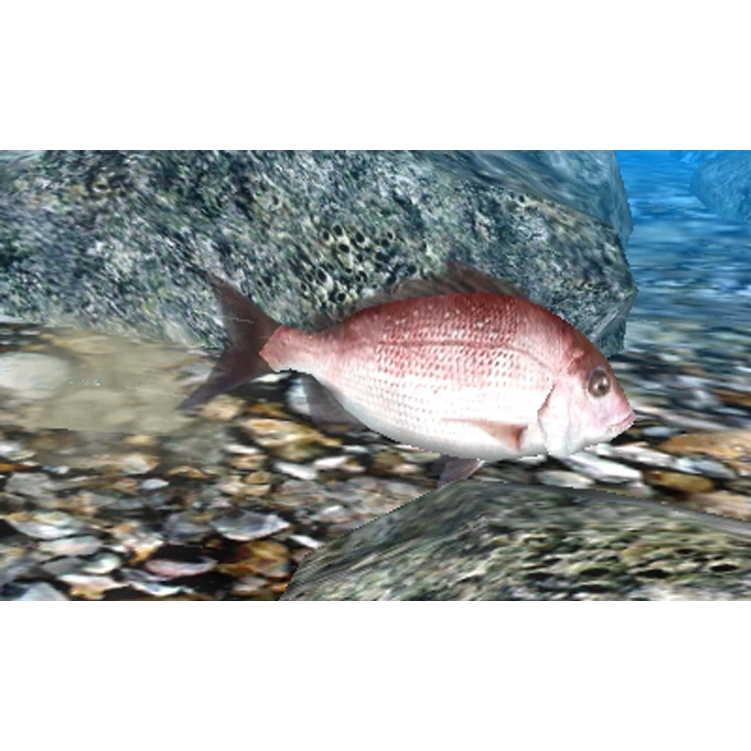 Fish Eyes 3d - 3ds (Japon)