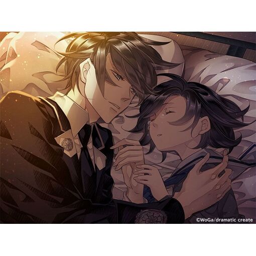 Hana Awase New Moon -Iroha Volume- (Multi-Language) - Switch... - 4