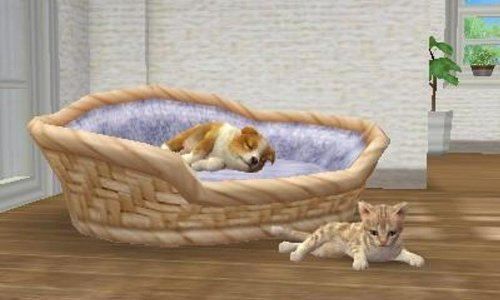 Nintendogs + Cats: Toy Poodle & New Friends - 3ds (Japon) - 3
