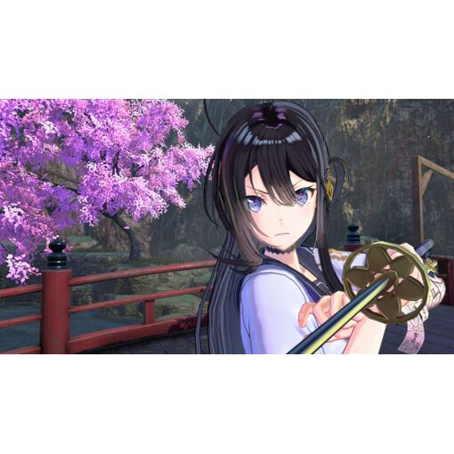Samurai Maiden (English) - Switch (Japon) - 6